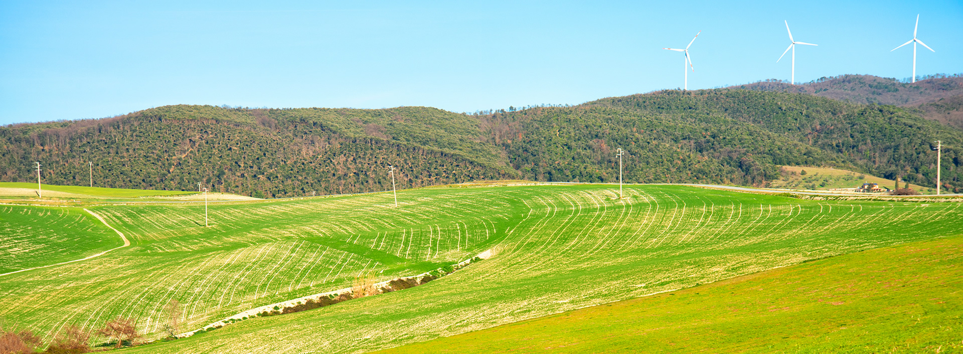 Energia rinnovabile e sostenibilità