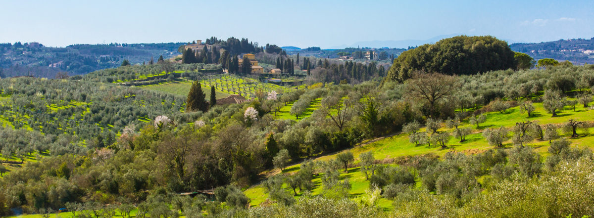 Val d'Arno superiore