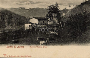 Bagni di Lucca, 1905