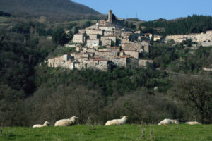 Castelnuovo, Valdicecina