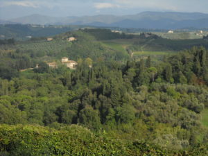 Boschi di San Casciano