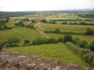 Monteriggioni, aree agricole