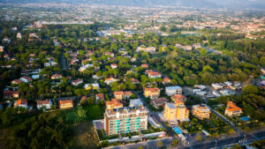 La pineta di Viareggio