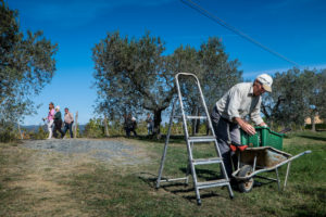 Montescudaio, Pisa