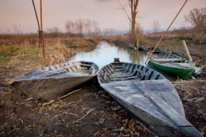 Riserva naturale, Fucecchio