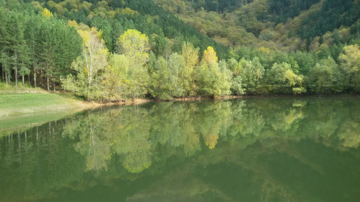 Foresta di Rincine, certificazione per servizi ecosistemici