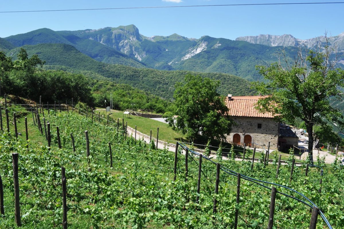 Architettura e paesaggio rurale: prorogata la scadenza del bando